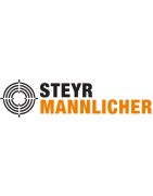 STEYR