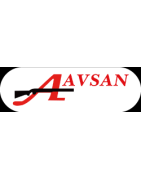 AVSAN